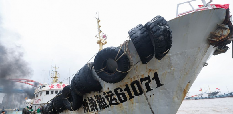 浙江舟山：东海开渔首批梭子蟹回港