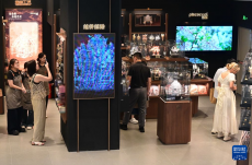 活力中国调研行丨福建厦门：首店云集聚人气