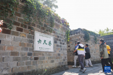 安徽桐城：六尺巷旅游热度不减