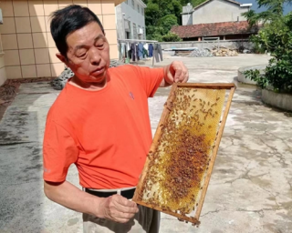 八旬 “蜂痴”作家沈道金：笔墨叙“蜂语” 书香润巴陵